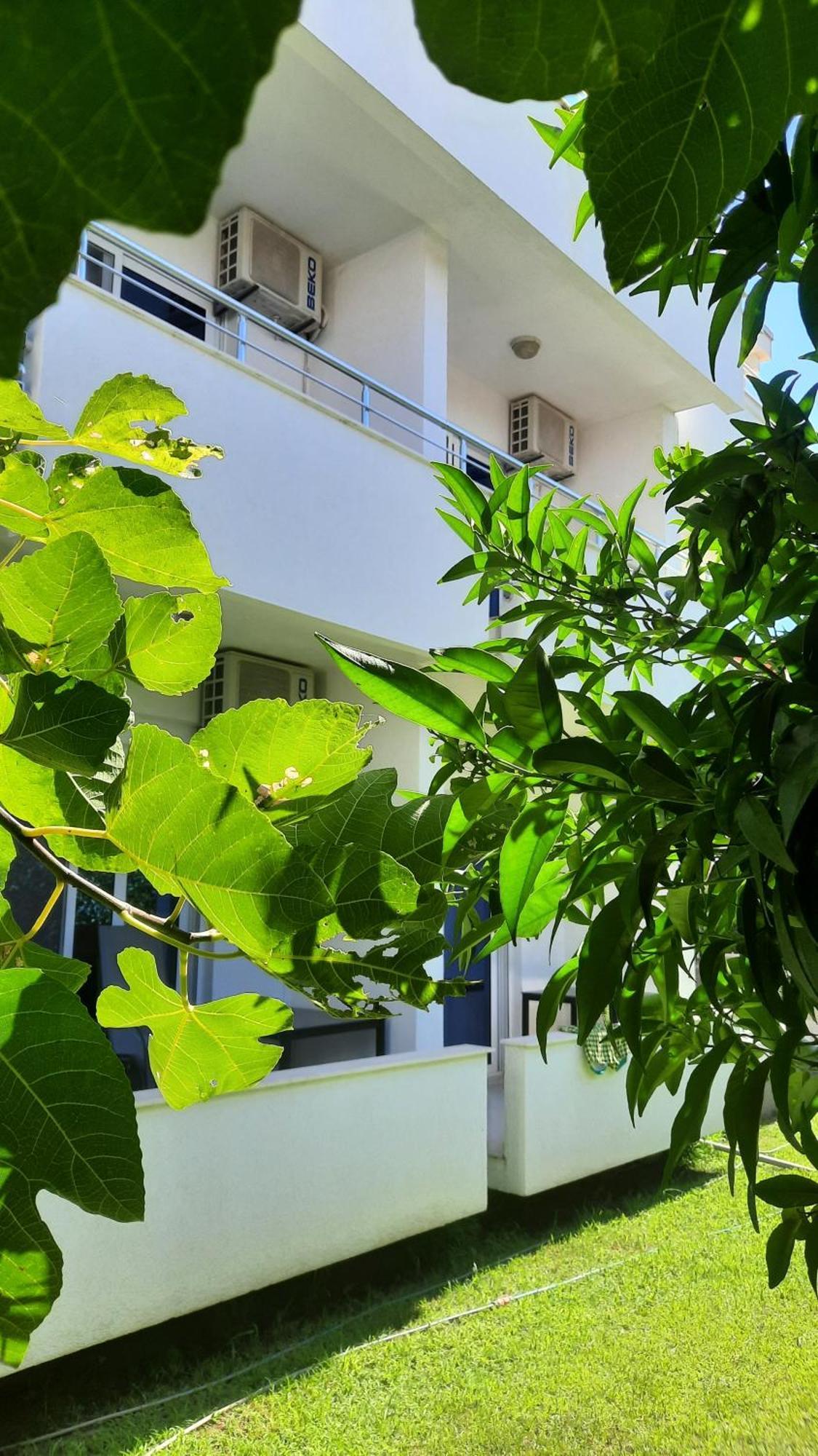 Apartmani Vila Milaris อุลซิน ห้อง รูปภาพ